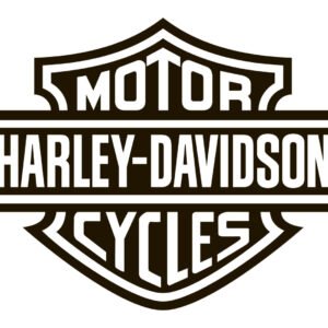 Harley Davidson FL